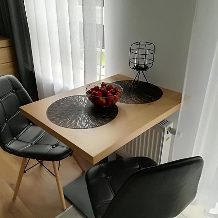 Apartament Wroclaw Centrum Dorzecze Legnickiej Εξωτερικό φωτογραφία